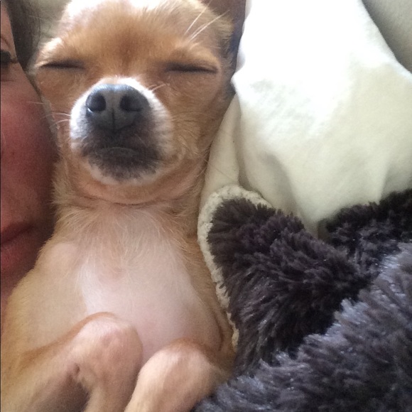 Sale 20% Off Everything Today - Picture 2 of 8